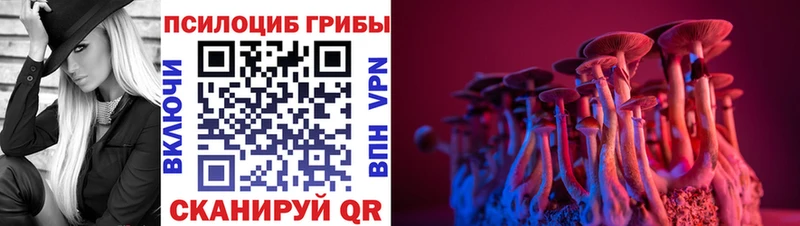 Псилоцибиновые грибы GOLDEN TEACHER  Дедовск 