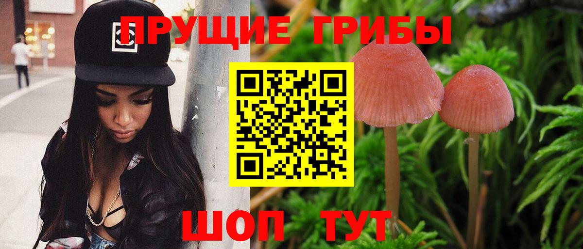 Псилоцибиновые грибы ЛСД  Вход с VPN  Дедовск  Псилоцибиновые грибы мухоморы 