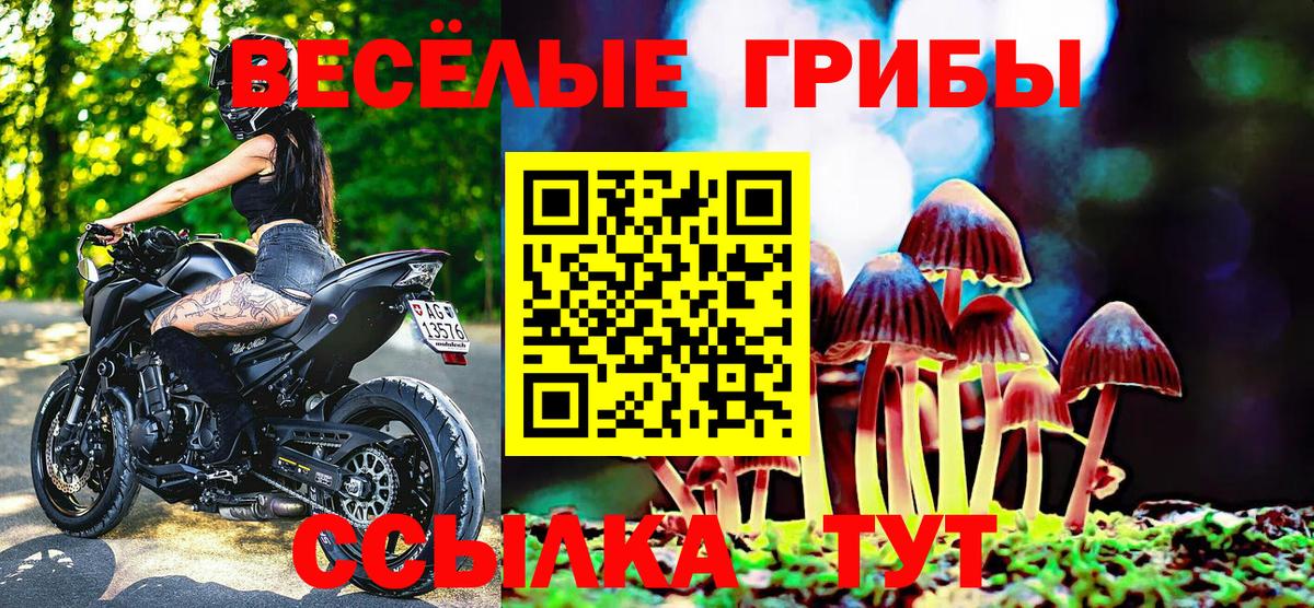 Псилоцибиновые грибы ЛСД Дедовск